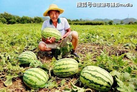 路边最新的瓜爆料,揭秘路边最新热门八卦事件